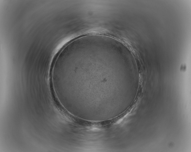 X0000091000196200708161945