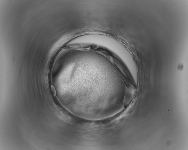 X0000091000197200708161945