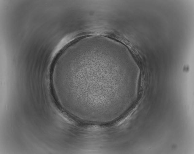 X0000091000198200708161945