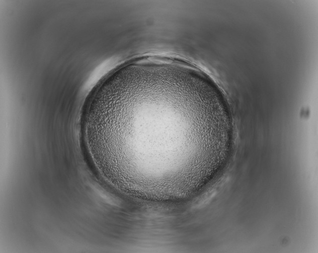 X0000091000199200708161945