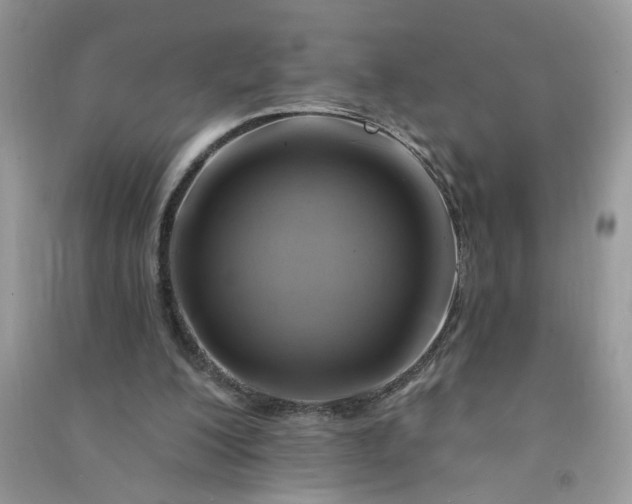 X0000091000200200708161945