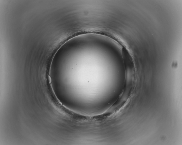 X0000091000201200708161945