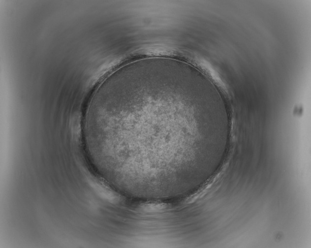 X0000091000202200708161945
