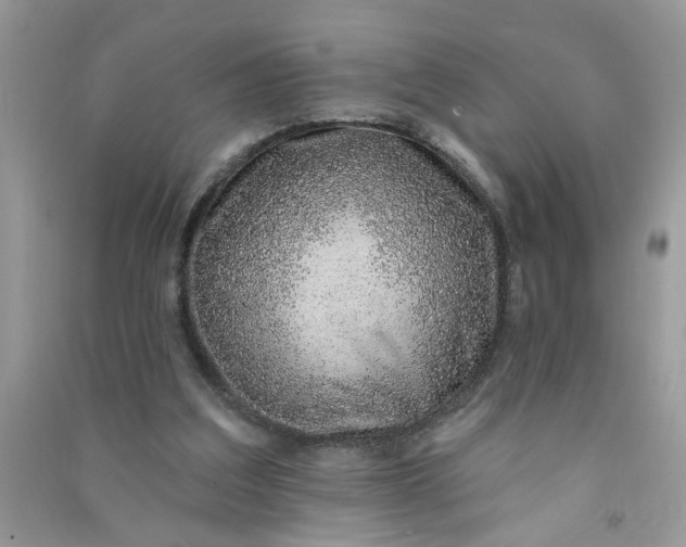 X0000091000203200708161945