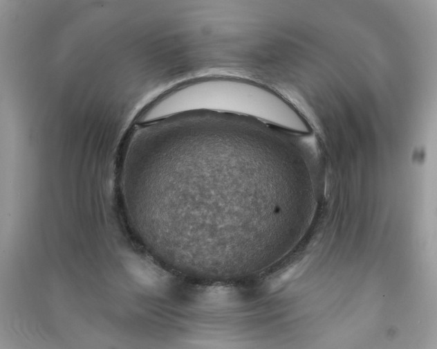 X0000091000204200708161945