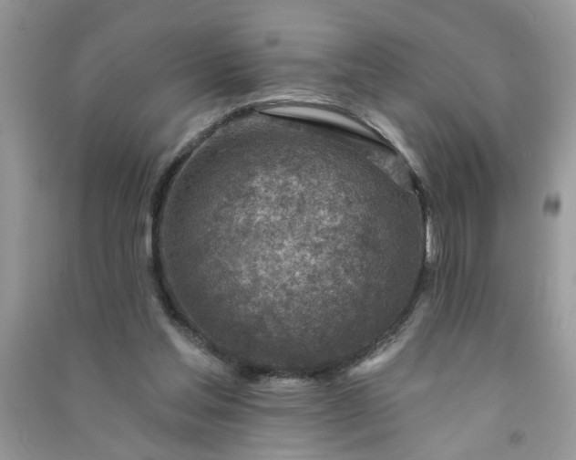X0000091000205200708161945