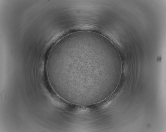 X0000091000206200708161945
