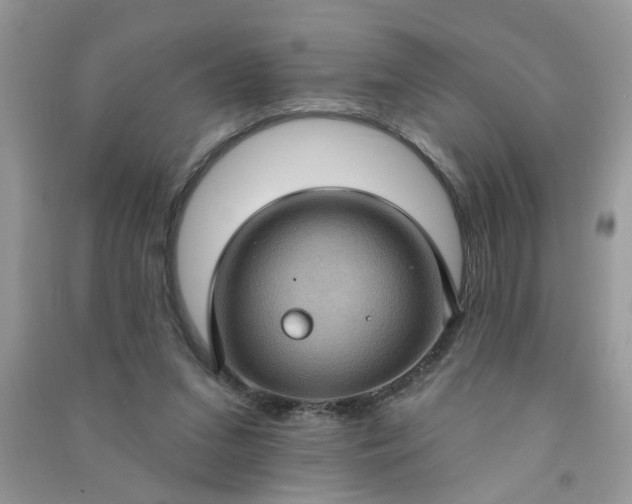 X0000091000207200708161945