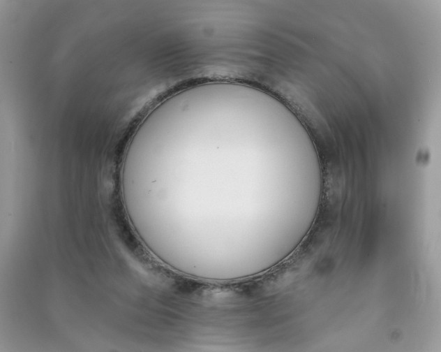 X0000091000208200708161945