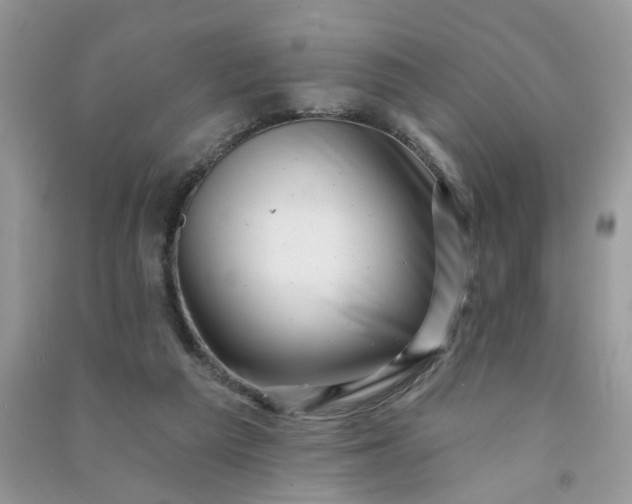X0000091000209200708161945