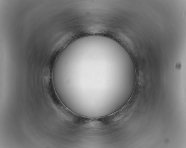 X0000091000210200708161945