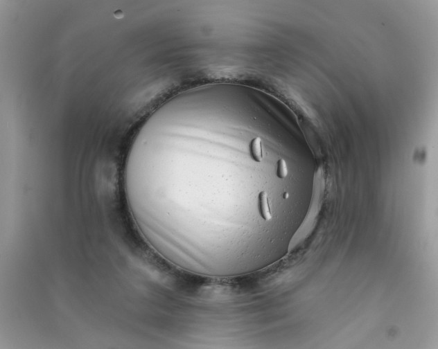 X0000091000211200708161945