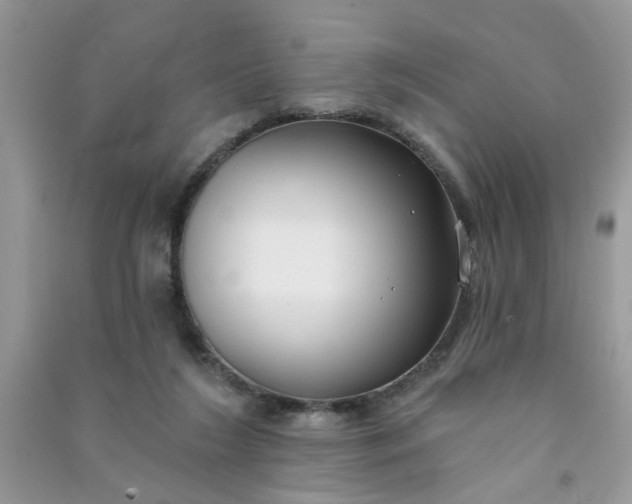 X0000091000212200708161945