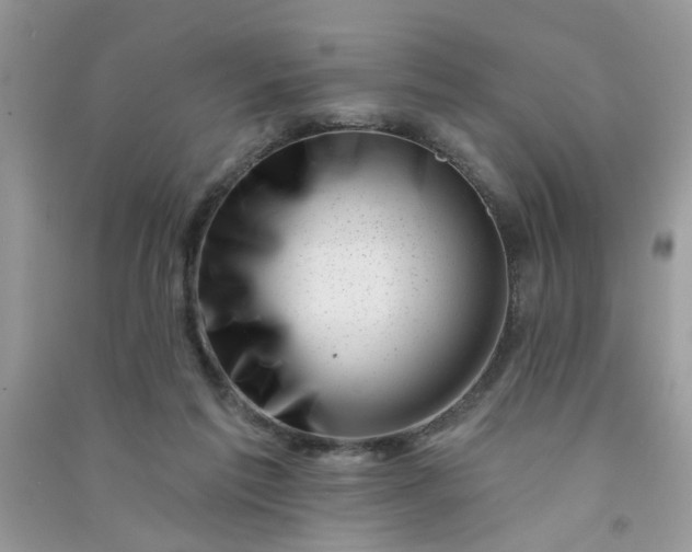X0000091000213200708161945