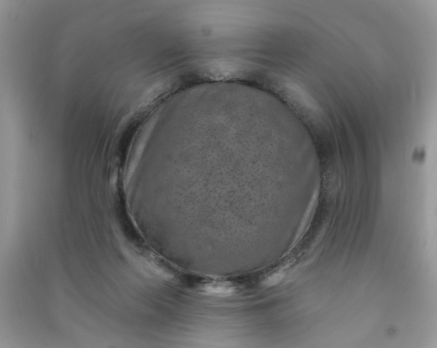 X0000091000214200708161945