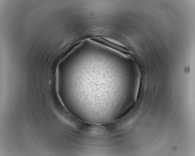 X0000091000215200708161945