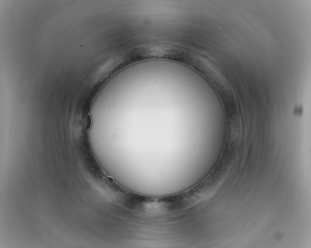 X0000091000216200708161945