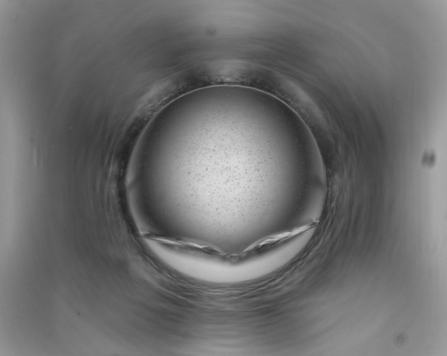 X0000091000217200708161945