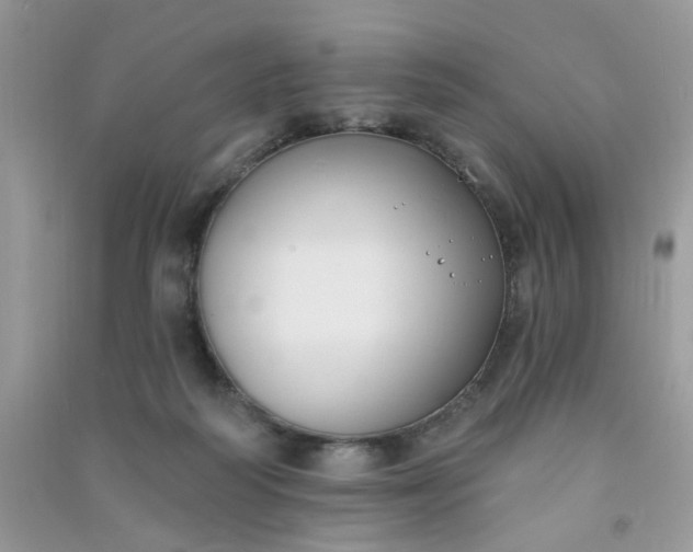 X0000091000218200708161945