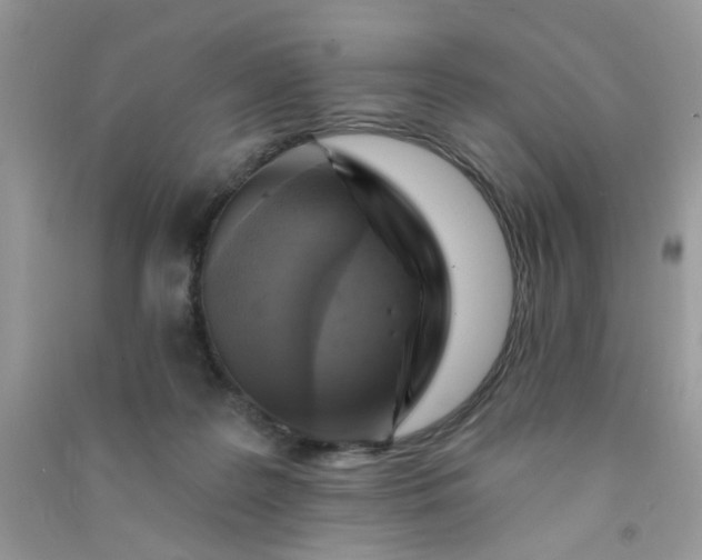 X0000091000219200708161945