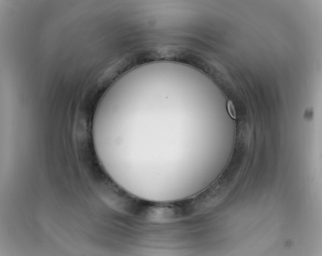X0000091000220200708161945