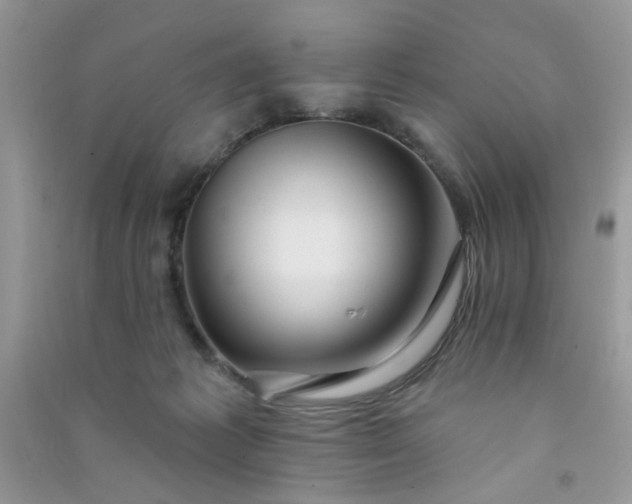 X0000091000221200708161945
