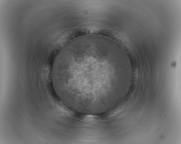 X0000091000222200708161945