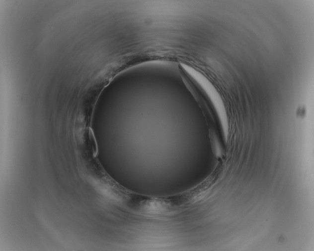 X0000091000223200708161945