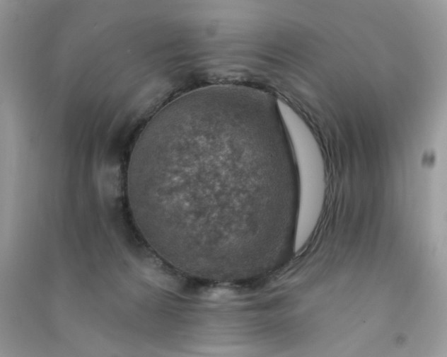 X0000091000224200708161945
