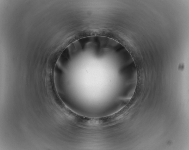 X0000091000225200708161945