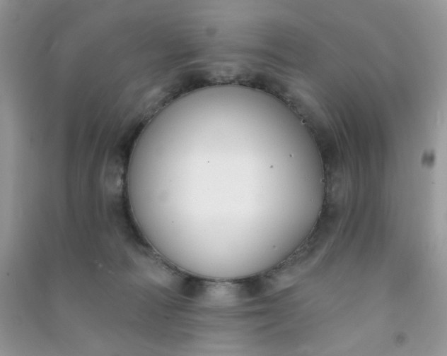 X0000091000226200708161945