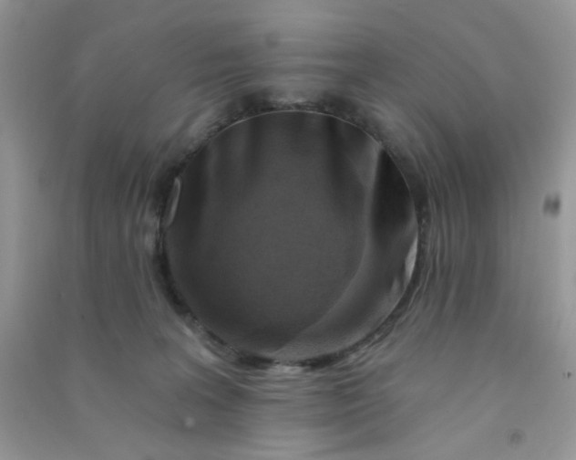 X0000091000227200708161945