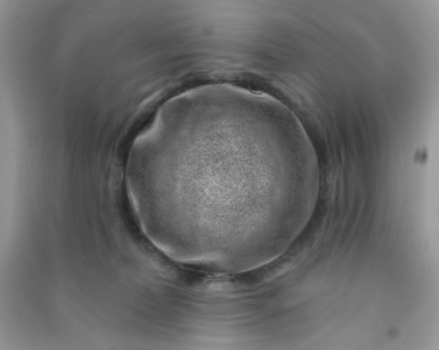 X0000091000228200708161944