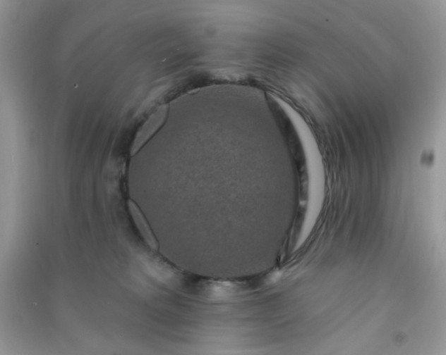 X0000091000229200708161944