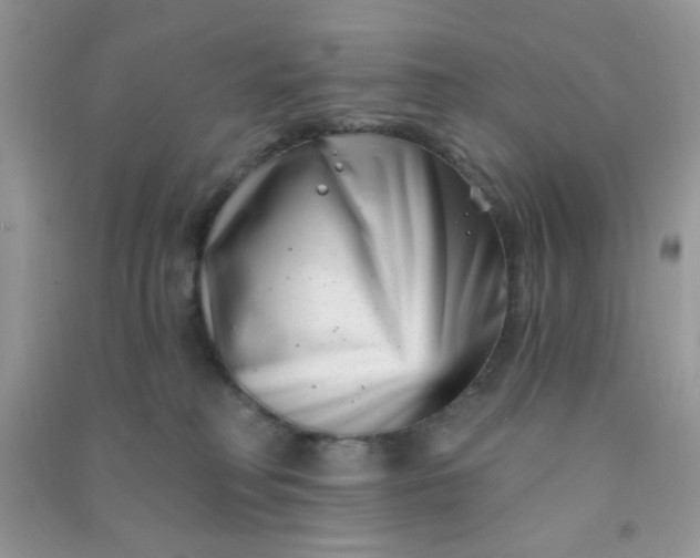 X0000091000230200708161944