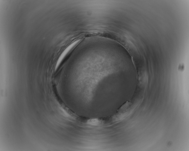 X0000091000231200708161944