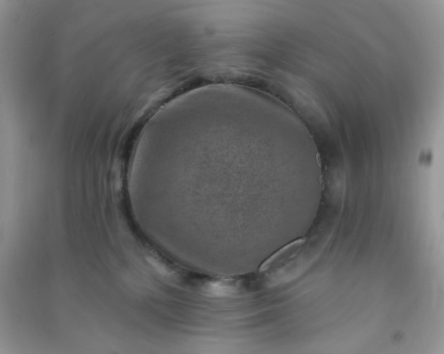 X0000091000232200708161944