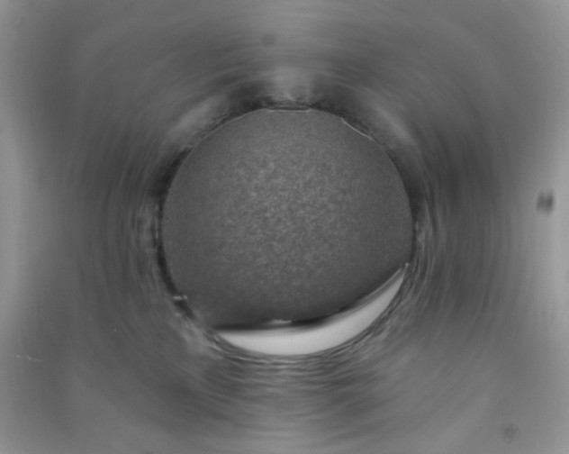 X0000091000233200708161944