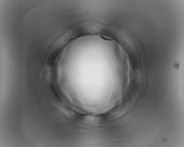 X0000091000234200708161944