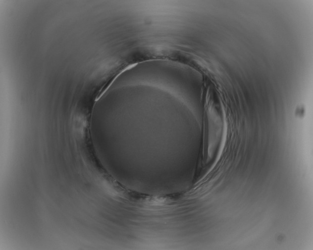 X0000091000235200708161944