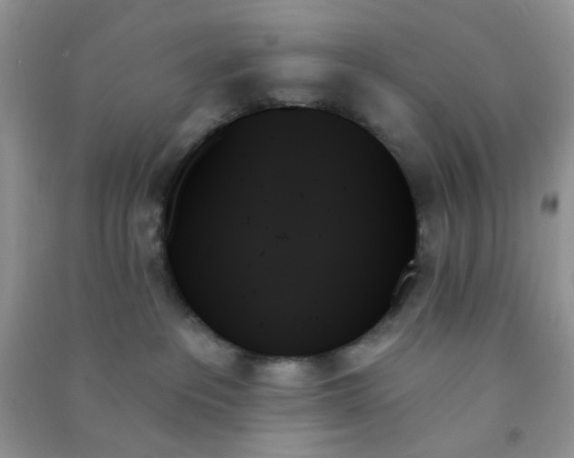 X0000091000237200708161944
