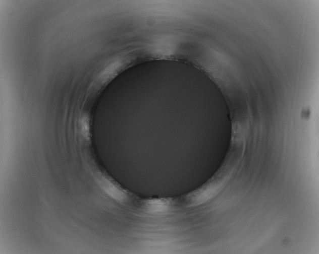 X0000091000238200708161944