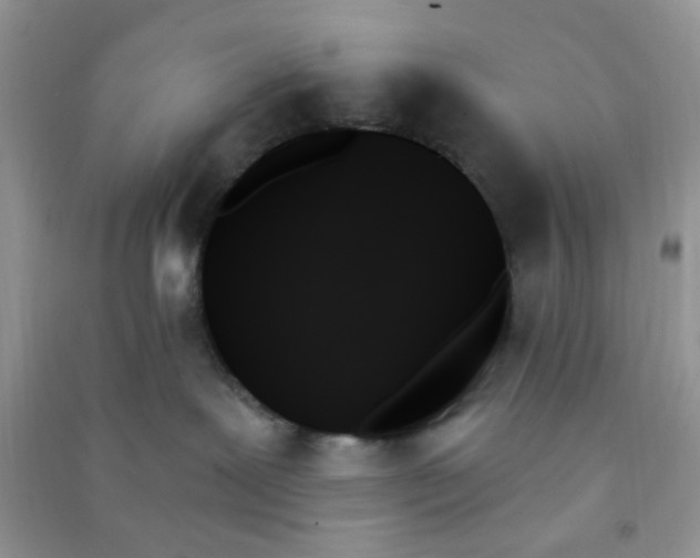 X0000091000239200708161944