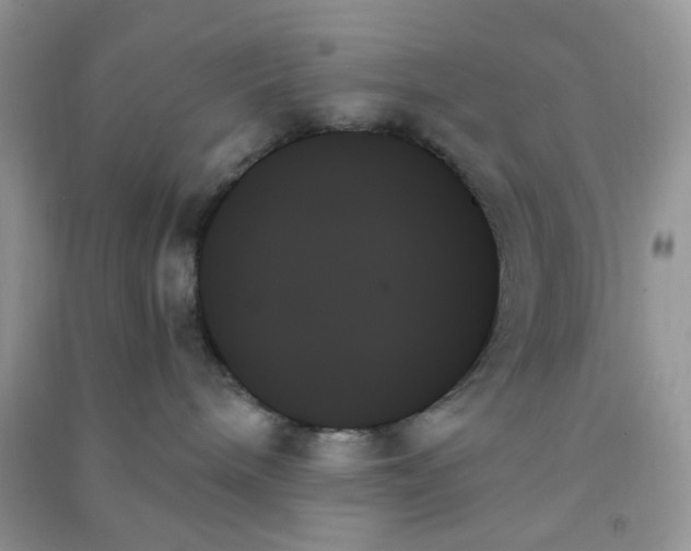 X0000091000240200708161944