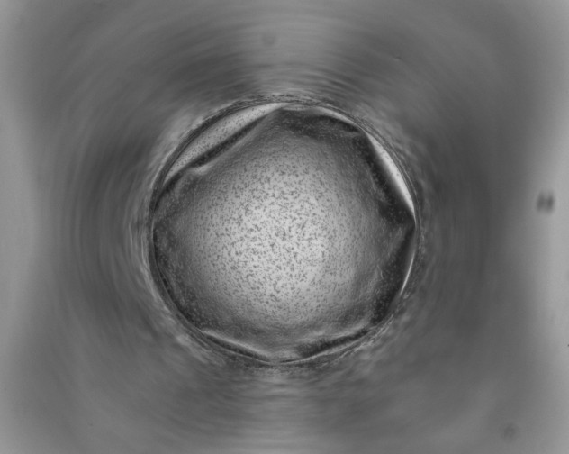 X0000091000241200708161944