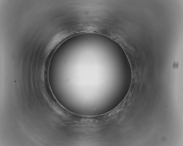 X0000091000242200708161944