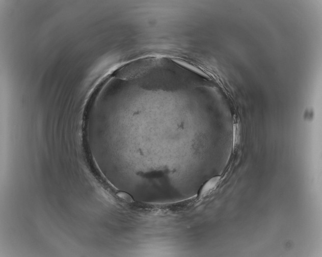 X0000091000243200708161944