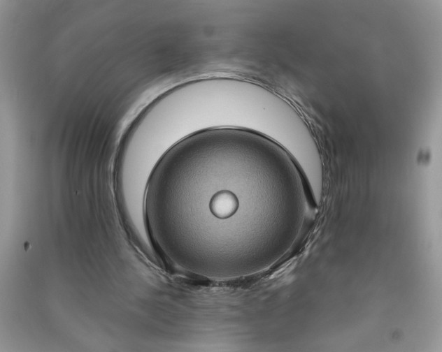 X0000091000244200708161944