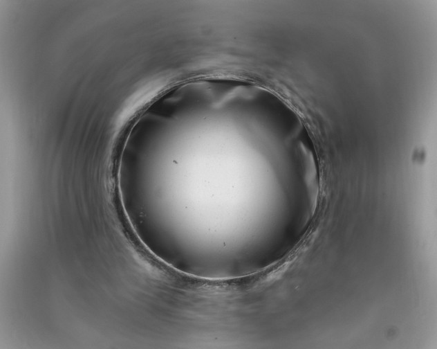 X0000091000245200708161944