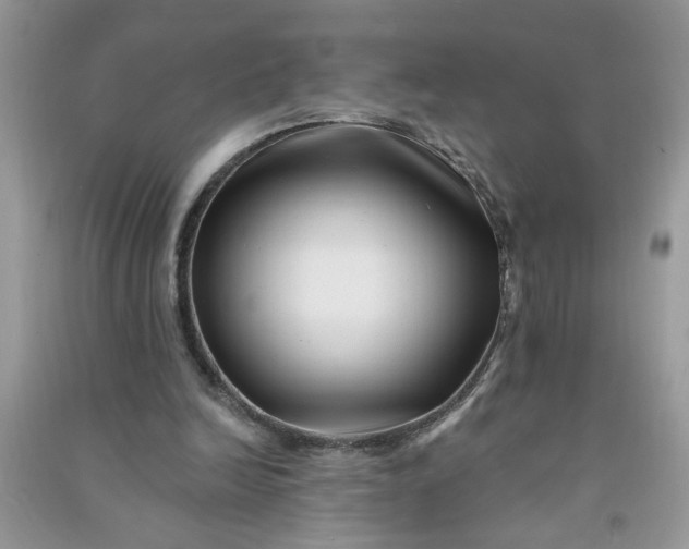 X0000091000246200708161944